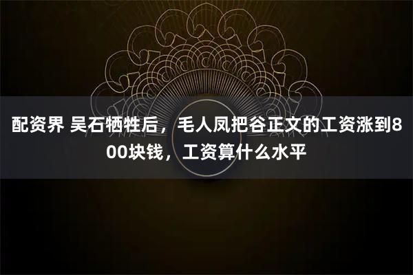 配资界 吴石牺牲后，毛人凤把谷正文的工资涨到800块钱，工资算什么水平